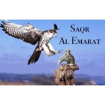 Восточные парфюмерные масла унисекс Khalis Saqar Al Emarat 20ml